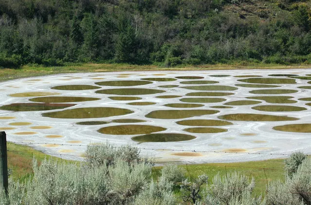 Kliluk, the Spotted Lake, Canada 
