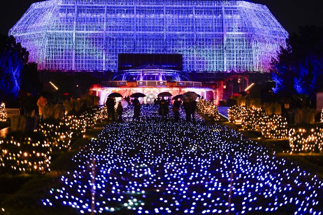 People walk through a Christmas light trail during a lighting test of the Christmas Garden in the Botanical Garden in Berlin, Germany, Tuesday, November 19, 2024. (Photo by Markus Schreiber/AP Photo)