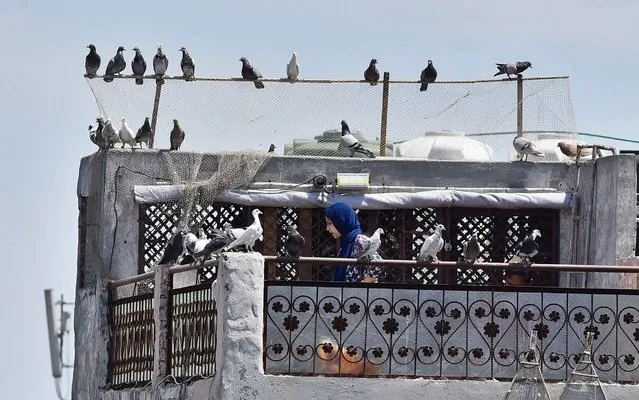 A woman is pictured on her rooftop with a cluster of pigeons on day ten of the 21 day nationwide lockdown to curb the spread of coronavirus on April 3, 2020 in New Delhi, India. (Photo by Sanjeev Verma/Hindustan Times/Rex Features/Shutterstock)