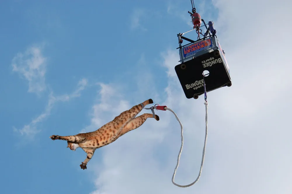 Artist Wendy Tsao Transforms Kids Drawings Into Plush Toys