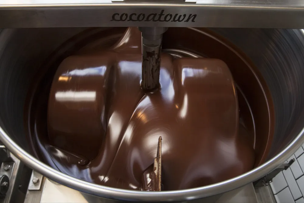 Food of the Gods: How to Make Chocolate