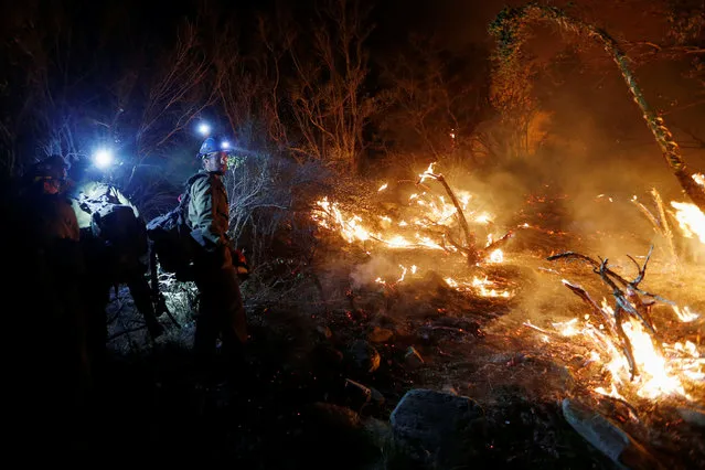 Hotshot firefighters build a fire line after the fire jumped Lytle Creek Road during the Blue Cut fire in San Bernardino County, California, U.S. August 17, 2016. (Photo by Patrick T. Fallon/Reuters)