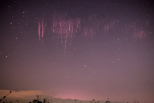 These spectacular pictures show the incredible moment a rare natural phenomenon happens in the night sky. Red sprite lightning lasts only a millisecond and takes place high above a tunderstorm cloud.The breathtaking flashes of light are caused by huge electrical discharges of lightning in the sky. Marko Korosec, 32, was lucky enough to catch these sprites on camera after months of trying. Mr Korosec, from Sezana in Slovenia, took the shots whilst he was following storms in Vivaro, Italy. (Photo by Marko Korosec/Solent News/SIPA Press)