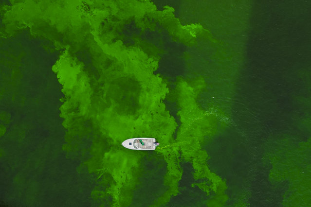 The Chicago River is dyed green as part of annual St. Patrick's Day festivities Saturday, March 15, 2025, in Chicago. (Photo by Erin Hooley/AP Photo)