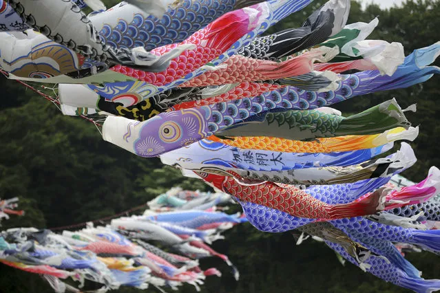 Colorful carp streamers flutter in the air over the Sagami River in Sagamihara, west of Tokyo, Monday, May 5, 2014 to mark Children's Day national holiday. It is a tradition in Japan to fly carp streamers on the Children's Day. (Photo by Eugene Hoshiko/AP Photo)