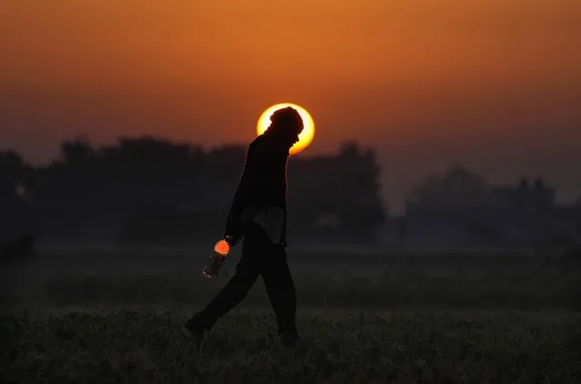 An Indian farmer walks early morning near the India-Pakistan border area of Ranbir Singh Pura, about 35 kilometers (22 miles) south of Jammu, India, Monday, December 5, 2022. (Photo by Channi Anand/AP Photo)