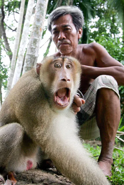 Thai villager sits with his monkey in Thailand's largely Muslim Narathiwat province, 1,200 km (745 miles) south of Bangkok on July 26, 2004. (Photo by Sukree Sukplang/Reuters)