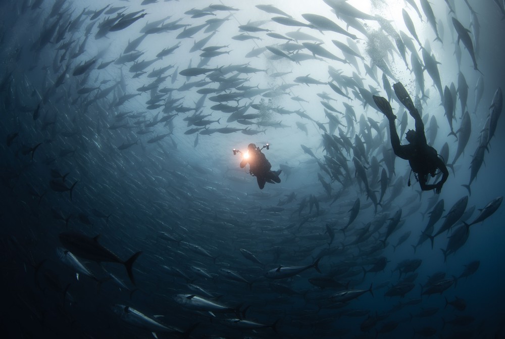A Look at Life in Turkey