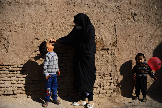 A burqa-clad health worker administers polio vaccine drops to a child during a vaccination campaign in the old quarters of Herat October 27, 2020 (Photo by Hoshang Hashimi/AFP Photo)