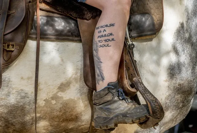 Horse farmer Stephanie Kirchner shows a tattoo on her leg in Oberweyer near Limburg, Germany, Thursday, May 19, 2022. Since the beginning of the war in the Ukraine causing rising gas prices Kirchner uses the coach or rides a horse to a small stud farm where she works whenever possible. (Photo by Michael Probst/AP Photo)