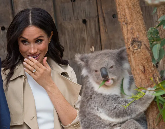 The Duchess of Sussex meets a Koala called Ruby during a visit to Taronga Zoo in Sydney on the first day of the Royal couple's visit to Australia  October 16, 2018. (Photo by Dominic Lipinski/Pool via Reuters)