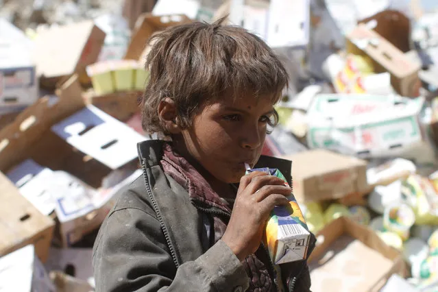 A boy drinks expired juice on a pile of rubbish at landfill site on the outskirts of Sanaa, Yemen November 16, 2016. (Photo by Mohamed al-Sayaghi/Reuters)