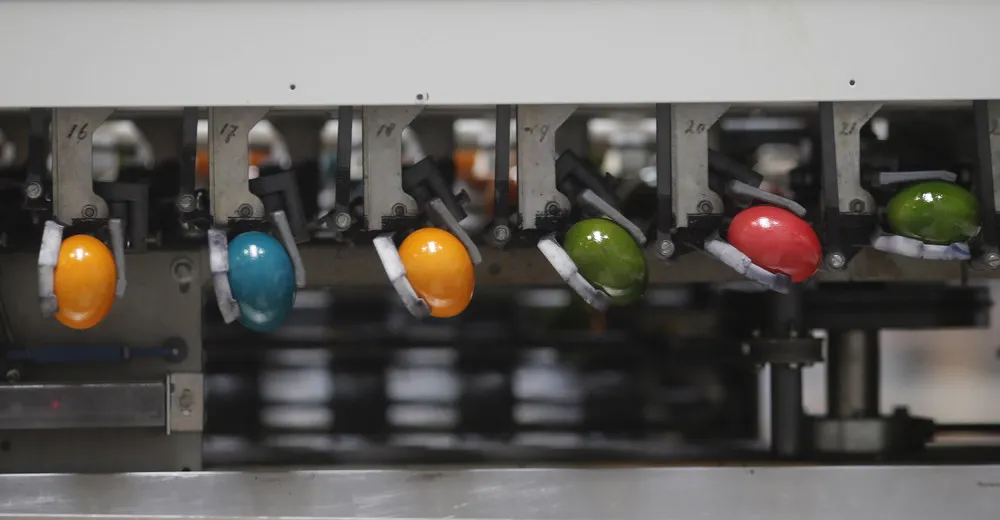 The Schrall Coloured Eggs Company in Austria