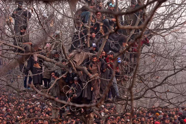 People sit in a tree as they wait to offer funeral prayers for Mohd Waseem Wagay, a suspected militant, who according to local media was killed in a gun battle with Indian security forces, at Amshipora village in south Kashmir's Shopian district November 25, 2018. (Photo by Danish Ismail/Reuters)