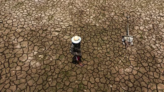 A picture taken with a drone shows inhabitants of the Bom community carrying supplies over a dry river bed due to the severe drought that is hitting the Amazon basin, in Manaquiri, Amazonas, Brazil, 21 October 2023. After the Negro River fell to a record level, the Solimões River (the name given to the Amazon River before its meeting with the Negro River, in the capital Manaus) also reached its minimum levels in several cities where measurements are carried out. (Photo by Raphael Alves/EPA/EFE)