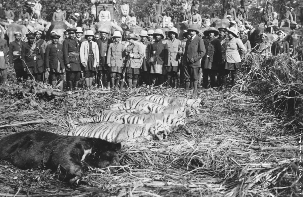 Hunting And Fishing. Part III