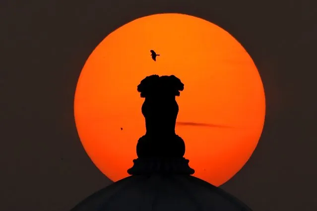 An eagle flies past an Indian emblem placed on the top of the Telangana State Secretariat building against the setting sun, in Hyderabad, India, Monday, December 18, 2023. The emblem features four Asiatic lions standing back to back, symbolizing power, courage, confidence and faith. (Photo by Mahesh Kumar A./AP Photo)