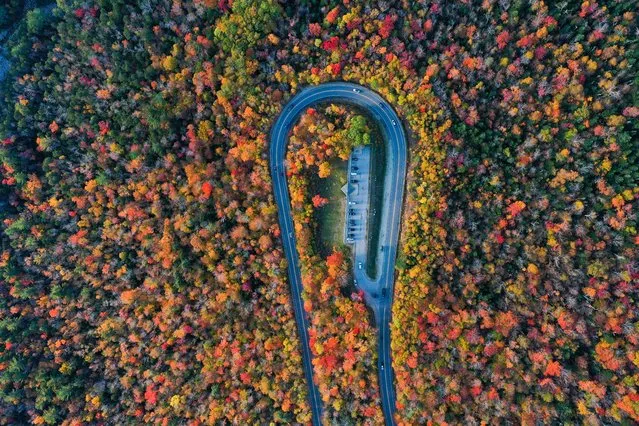 Colorful fall foliage in New Hampshire, United States on October 12, 2021. (Photo by Tayfun Coskun/Anadolu Agency via Getty Images)