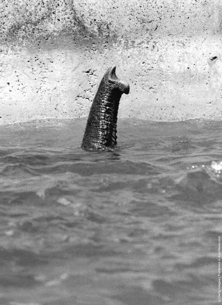 Summer Heat. Part II