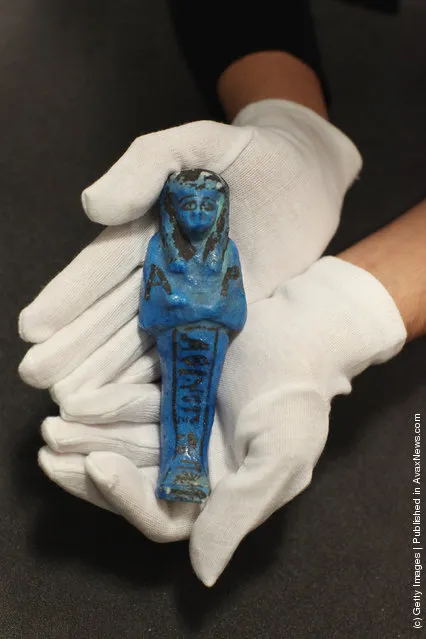 A museum assistant holds a faience mummiform figurine know as a 'shabti' in the Ashmolean Museum's new exhibition of artifacts from ancient Egypt and Nubia