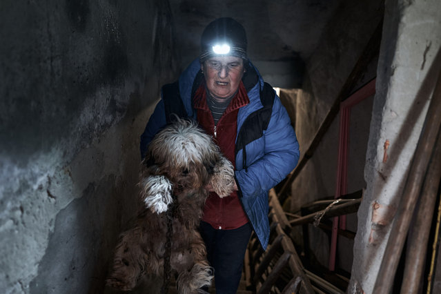 People carry out an evacuation of an animal shelter, which has more than 120 animals including dogs and cats and goats on May 13, 2024 in Rus'ki Tyshky, Kharkiv region, Ukraine. The owner of the shelter knows each animal by name, they are all well-groomed and each has its own story. Some lived with her simply in an apartment and some in the basement. They were forced to evacuate due to increased shelling by the Russians Ukraine's defense ministry announced recently that it has sent reinforcements to repel Russian attacks in border areas of the Kharkiv region, in the the country's northeast. (Photo by Kostiantyn Liberov/Libkos/Getty Images)