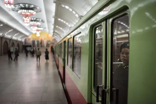 In a photo taken on April 10, 2017 a conductor looks out from a subway car in a metro station in Pyongyang. (Photo by Ed Jones/AFP Photo)