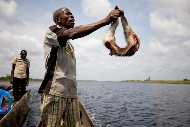 Mohamed Esimbo Matongu offers half a monkey to paddlers on the Ruki river, on his way back to Mbandaka, in the Democratic Republic of the Congo, April 5, 2019. “When I was a teenager, I had to travel no more than 10 km upriver to find animals. But now I have to go as far as 40 km to come across a decent hunting ground”, said Matongu. (Photo by Thomas Nicolon/Reuters)