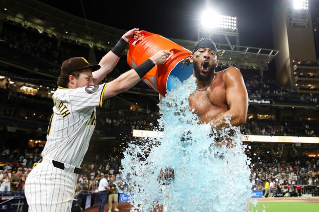 San Diego Padres' Fernando Tatis Jr., right, reacts after having a cooler dumped on him by Jake Cronenworth following a walk-off hit against the Detroit Tigers in the tenth inning of a baseball game Wednesday, September 4, 2024, in San Diego. (Photo by Derrick Tuskan/AP Photo)