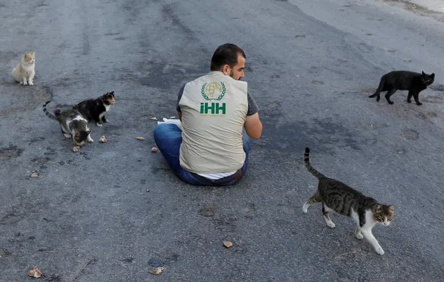 Ahmad Ody Alstouf feeds street cats in Kafr Nabl, Syria on September 25, 2019. (Photo by Goran Tomasevic/Reuters)