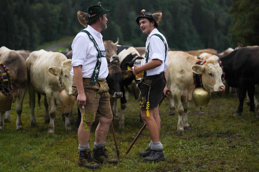 Pictures of the Year 2023, Part 170/224