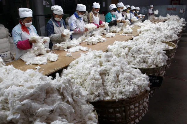 Workers sort cotton at a textile factory in Suining, Sichuan province December 30, 2009. (Photo by Reuters/Stringer)