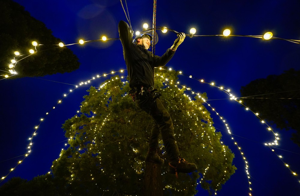 Pictures of the Year 2023, Part 207/224