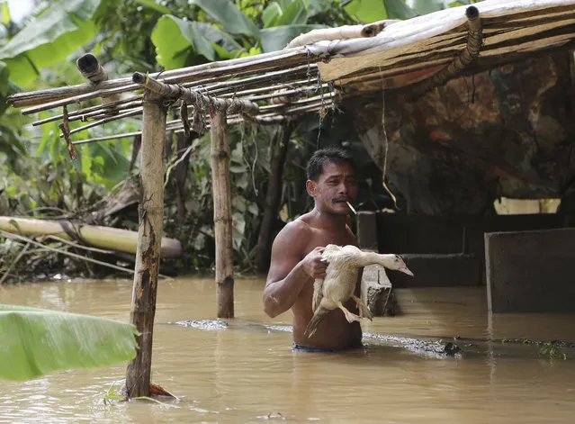 A Filipino holds a duck outside his house as a swollen river slowly recedes in suburban Quezon city, Philippines Monday, September 15, 2014. Fast-moving typhoon Kalmaegi blew out of the northern Philippines Monday after causing flash floods and landslides. Three people died when big waves and strong winds sank a stalled ferry over the weekend. (Photo by Aaron Favila/AP Photo)