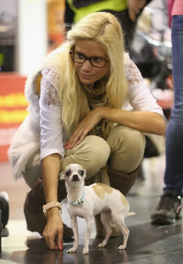 Animal Lovers Converge on Pet Fair