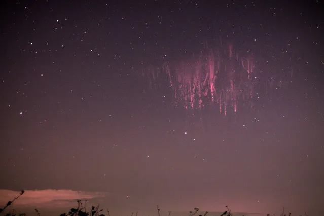 These spectacular pictures show the incredible moment a rare natural phenomenon happens in the night sky. Red sprite lightning lasts only a millisecond and takes place high above a tunderstorm cloud.The breathtaking flashes of light are caused by huge electrical discharges of lightning in the sky. Marko Korosec, 32, was lucky enough to catch these sprites on camera after months of trying. Mr Korosec, from Sezana in Slovenia, took the shots whilst he was following storms in Vivaro, Italy. (Photo by Marko Korosec/Solent News/SIPA Press)