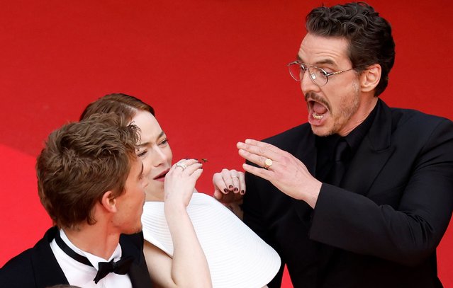From left, actors Austin Butler, Emma Stone and Pedro Pascal react to a bee as they walk the red carpet at the Cannes Film Festival in France on Friday, May 16, 2025. (Photo by Sebastien Nogier/Getty Images)
