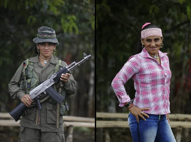 This August 15, 2016 photo shows two portraits of Rubiela, one of her holding a weapon while in uniform for the Revolutionary Armed Forces of Colombia (FARC) 49th front, and in civilian clothing at a guerrilla camp in the southern jungles of Putumayo, Colombia. Rubiela, 32, said she has spent 10 years in the FARC and would like to study dentistry after demobilizing as part of a peace deal with Colombia's government. (Photo by Fernando Vergara/AP Photo)