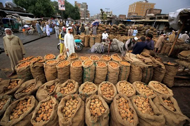 Pakistani vendors sell jaggery made from brown sugar at a jaggery market in Peshawar, Pakistan, 02 January 2023. Jaggery is one of the popular foods consumed in Pakistan during the winter season for warming body temperature and provides energy. Pakistan is the world's sixth-largest producer of sugarcane in terms of acreage, and the eighth largest sugar producer. The sugar industry is the country's second-largest agriculture-based industry after textiles. (Photo by Bilawal Arbab/EPA/EFE)