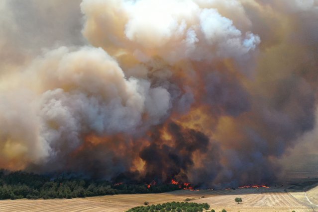 Firefighting efforts continue to extinguish a forest fire that spread from agricultural land in the Gelibolu district of Canakkale, Turkiye on July 16, 2025. Aerial and ground teams continue to fight the blaze as smoke rises over the charred woodland. (Photo by Fatih Capkin/Anadolu via Getty Images)