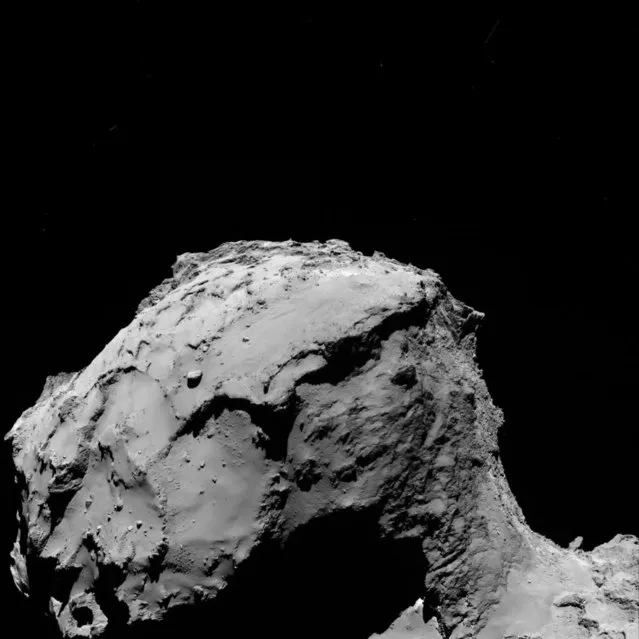 In this photo provided by the European Space Agency ESA Rosetta’s OSIRIS wide-angle camera captured this image of Comet 67P/Churyumov-Gerasimenko at 02:17 GMT from an altitude of about 15.5 km above the surface during the spacecraft’s final descent on Friday, September 30, 2016. The image scale is about 1.56 m/pixel and the image measures about 3.2 km across. (Photo by ESA via AP Photo)