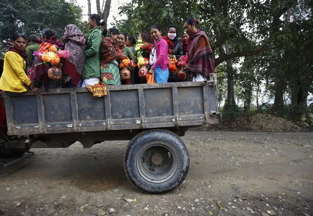 People arrive on a vehicle to take part in a parade marking an Elephant Festival event at Sauraha in Chitwan, about 170 km (106 miles) south of Kathmandu December 26, 2014. (Photo by Navesh Chitrakar/Reuters)