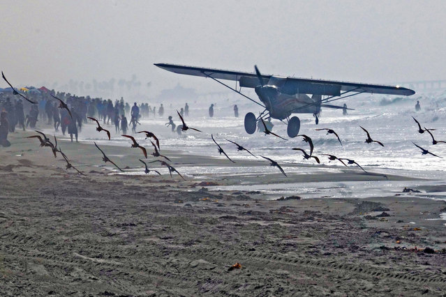 A small plane lands on the beach during the Pacific Airshow on October 04, 2024 in Huntington Beach, California. (Photo by Nick Ut/Getty Images)