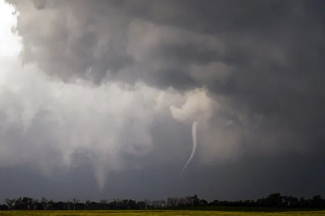 White cone with rope tornado, Woonsocket, South Dakota. (Photo by Camille Seaman/Caters News)