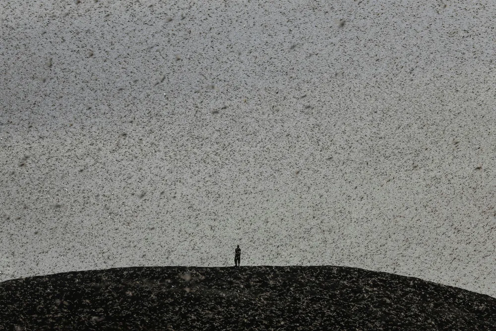 A Look at Life in Africa