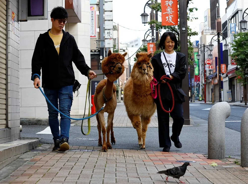 A Look at Life in Japan, Part 2/2