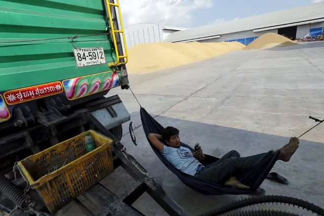 A truck driver rests in a hammock at an export rice plant in the central Chainat province in Thailand, December 16, 2015. Picture taken December 16, 2015. (Photo by Jorge Silva/Reuters)