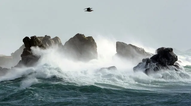 A picture taken on March 9, 2016 shows waves crashing onto the shore in the port of Porspoder, western France. (Photo by Fred Tanneau/AFP Photo)