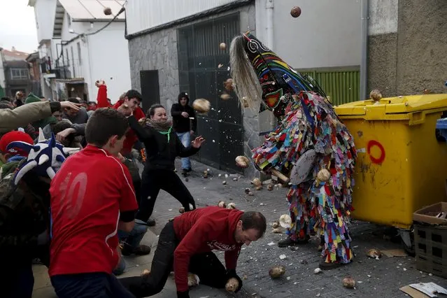 Revellers throw turnips at the Jarramplas, a character who wears a devil-like mask and a colourful costume, as he makes his way through the streets while beating his drum during the Jarramplas traditional festival in Piornal, southwestern Spain, January 19, 2016. (Photo by Susana Vera/Reuters)