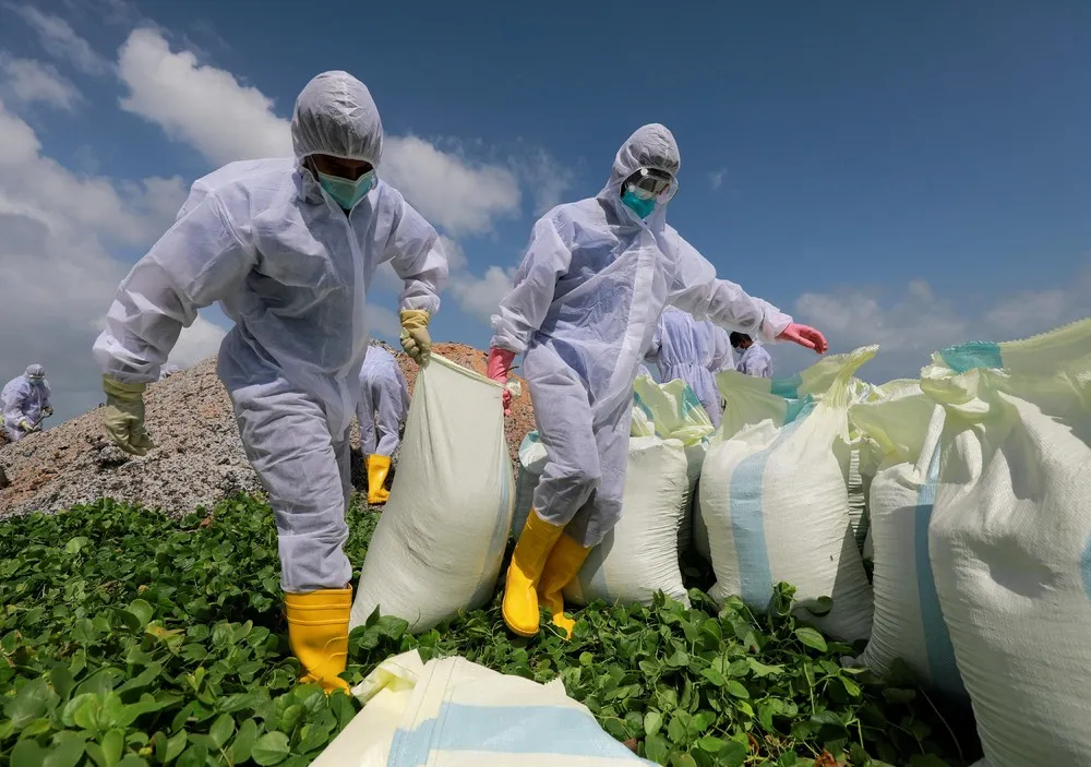 The Day in Photos – May 29, 2021