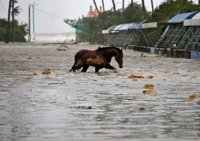 A horse crosses a water-logged road after rains ahead of Cyclone Yaas at Digha in Purba Medinipur district in the eastern state of West Bengal, India, May 26, 2021. (Photo by Rupak De Chowdhuri/Reuters)